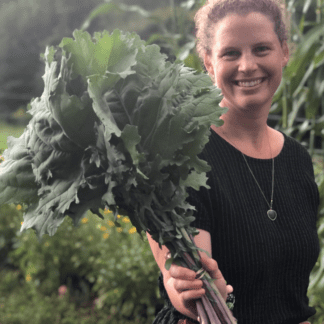 Organic Red Russian Kale