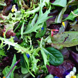 Organic Salad in Provence Mix