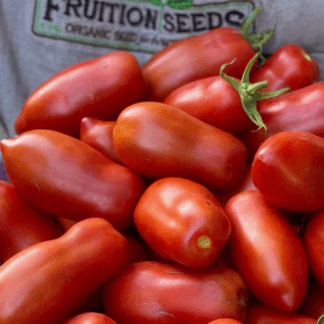 Organic Ten Fingers of Naples Tomato