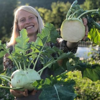 Organic Lanro Kohlrabi