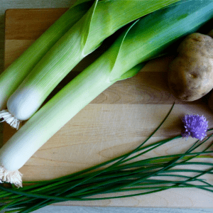 Organic Tadorna Leek