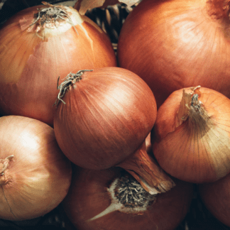 Organic New York Early Onion