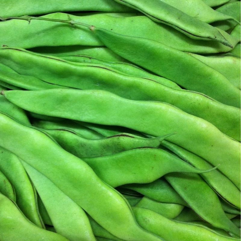 Organic Nor'Easter Pole Bean