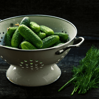 Organic National Pickling Cucumber