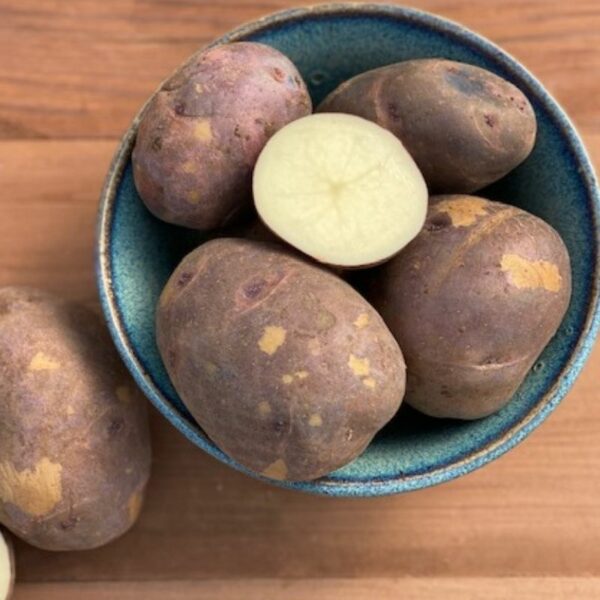 Organic Purple Viking Potato Fruition Seeds
