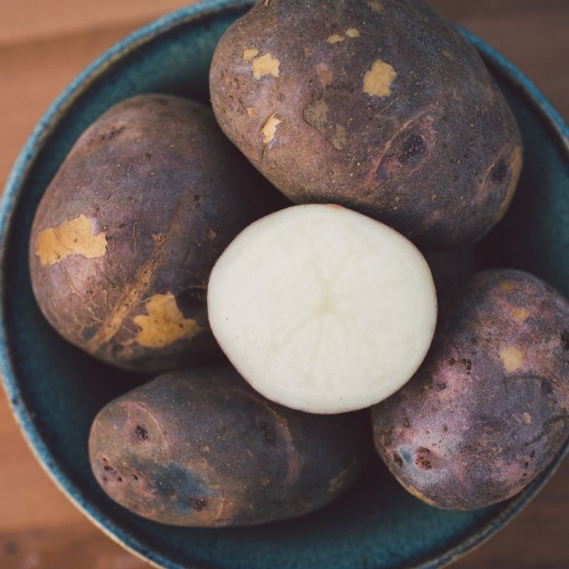 Organic Purple Viking Potato Fruition Seeds