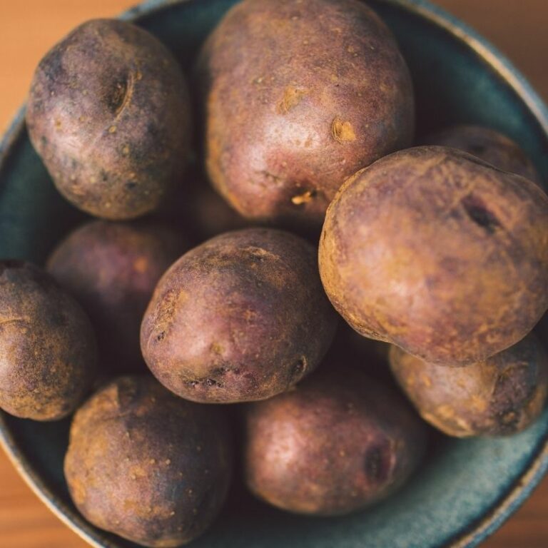 Organic Huckleberry Gold Potato Fruition Seeds