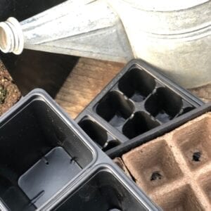 Organic Seed Starting Containers