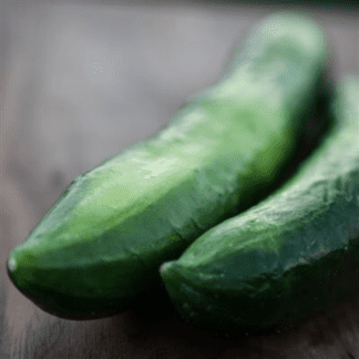 Organic Shintokiwa Cucumber