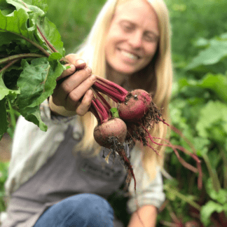 Organic Shiraz Beet