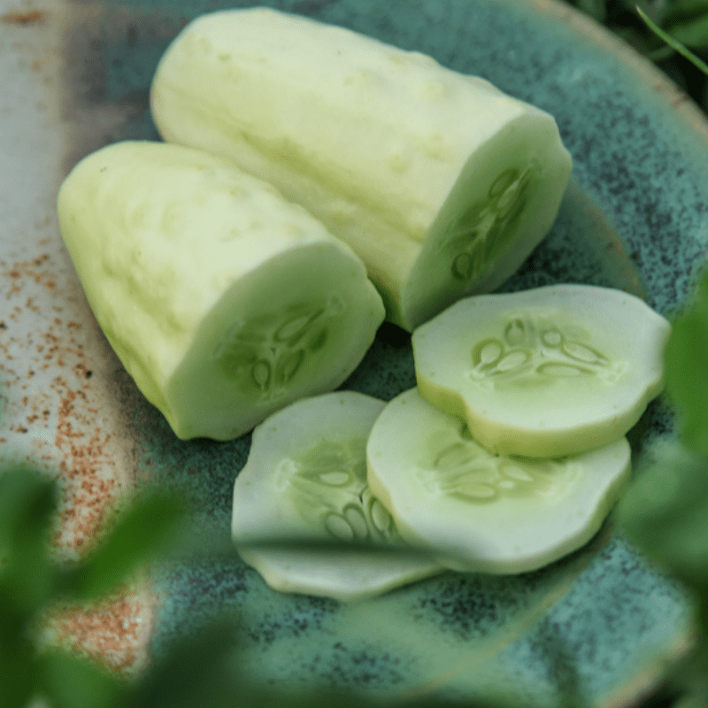 Organic Silver Slicer Cucumber - Fruition Seeds