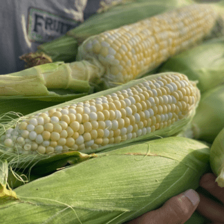 Organic Honey Badger Sweet Corn