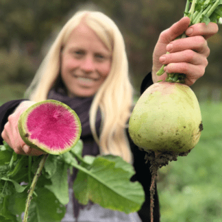 Organic Watermelon Radish