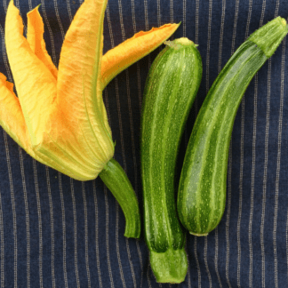 Organic Cocozelle Zucchini