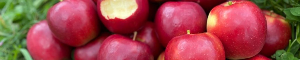 Organic apple banner