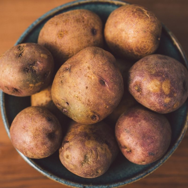 Organic Caribe Potato Fruition Seeds