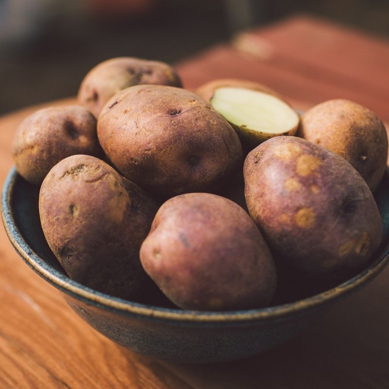 Organic Caribe Potato Fruition Seeds