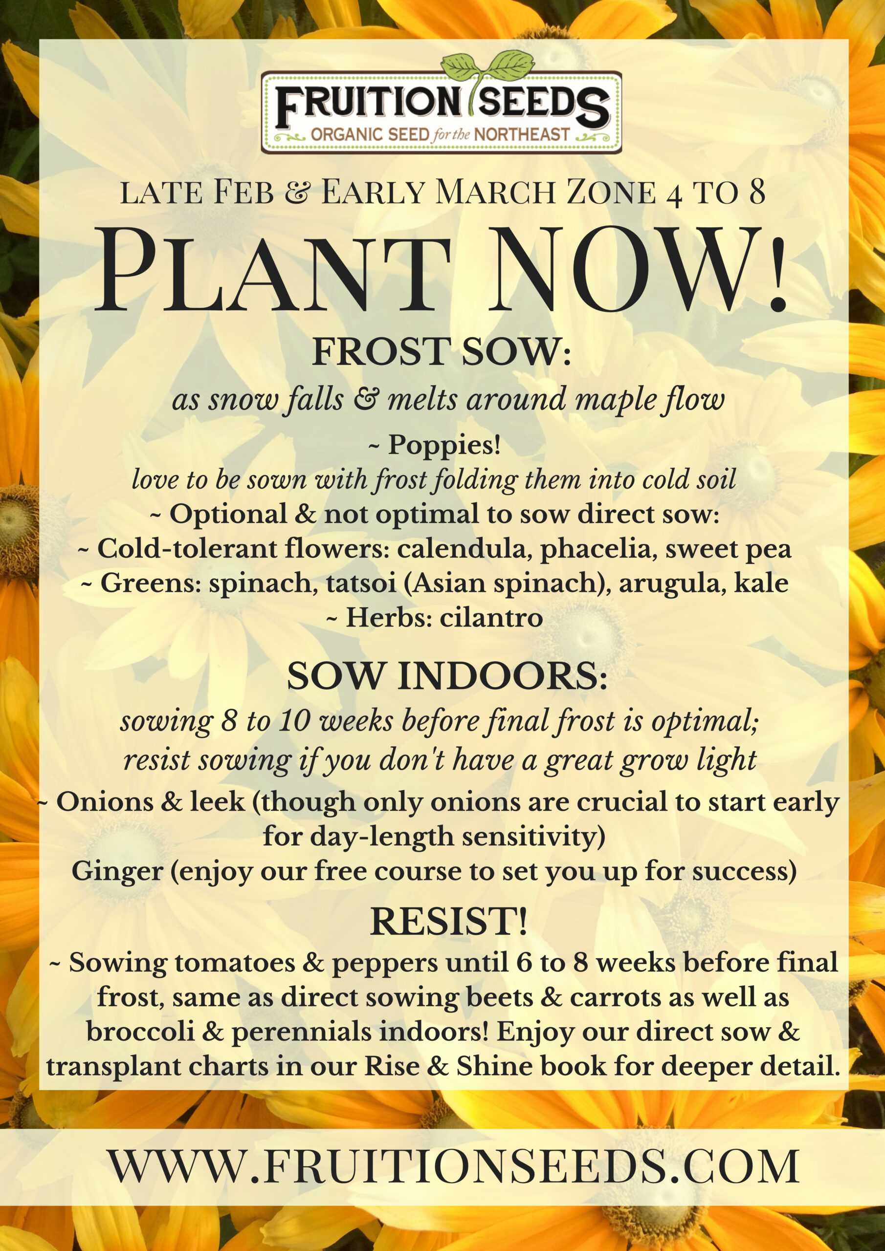 Growing Guide for February Plant Now