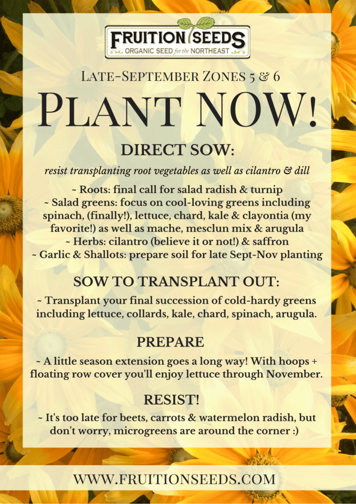 Thumbnail of Growing Guide for September Plant Now