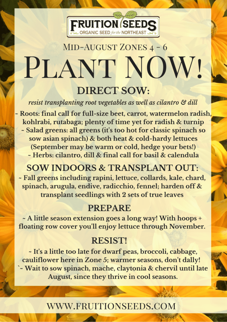 Thumbnail of Growing Guide for August Plant Now