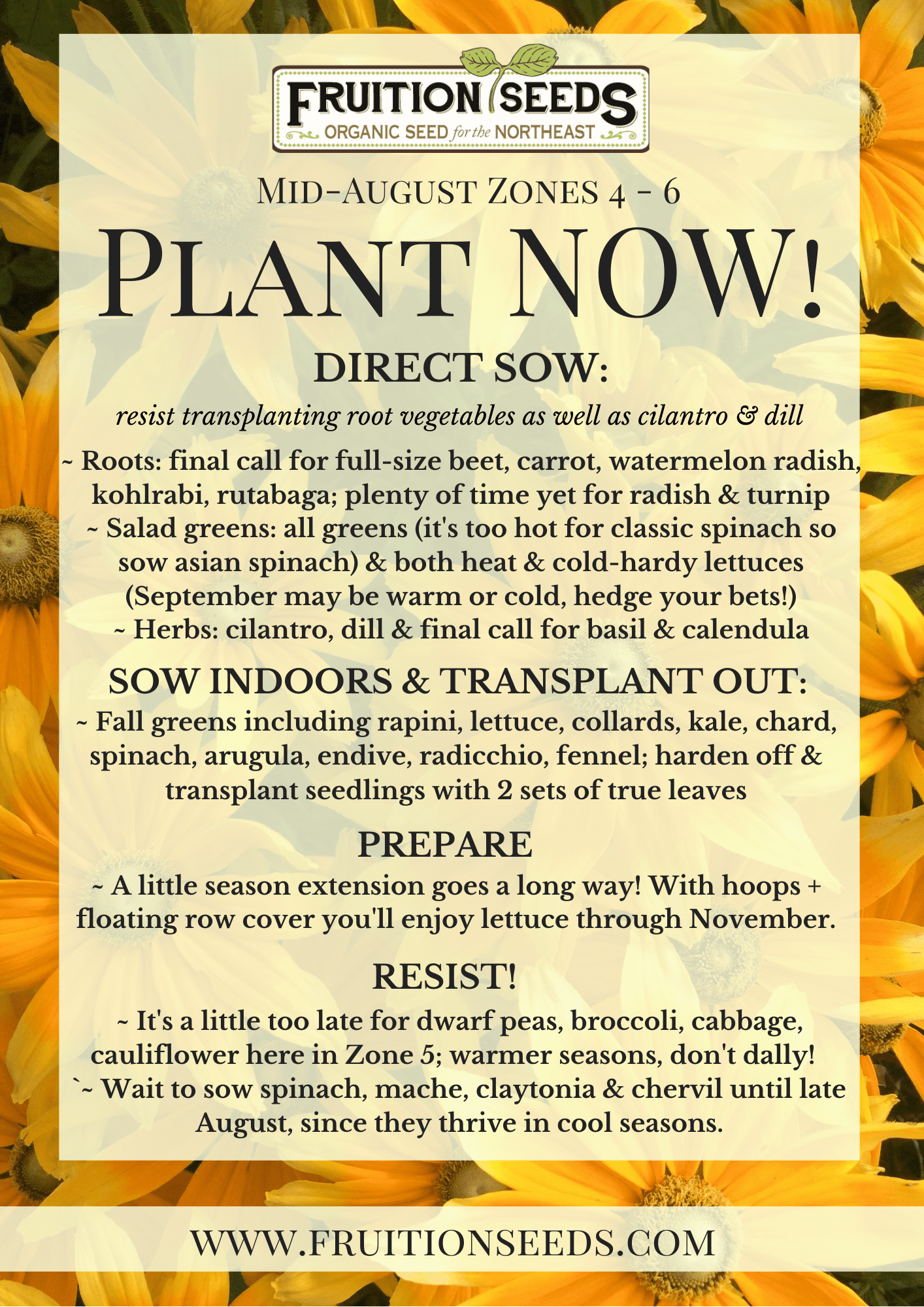 Growing Guide for August Plant Now