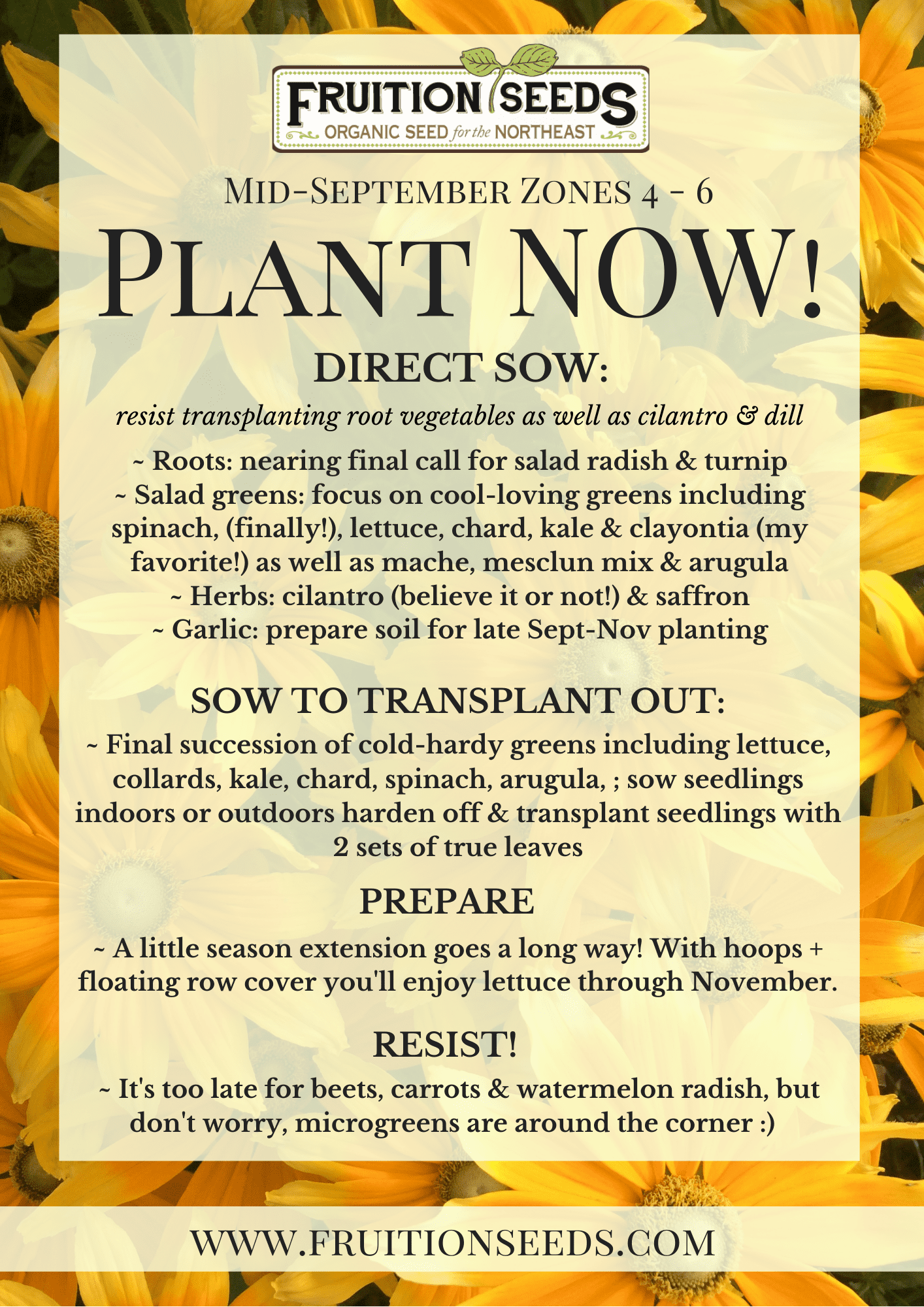 Growing Guide for September Plant Now