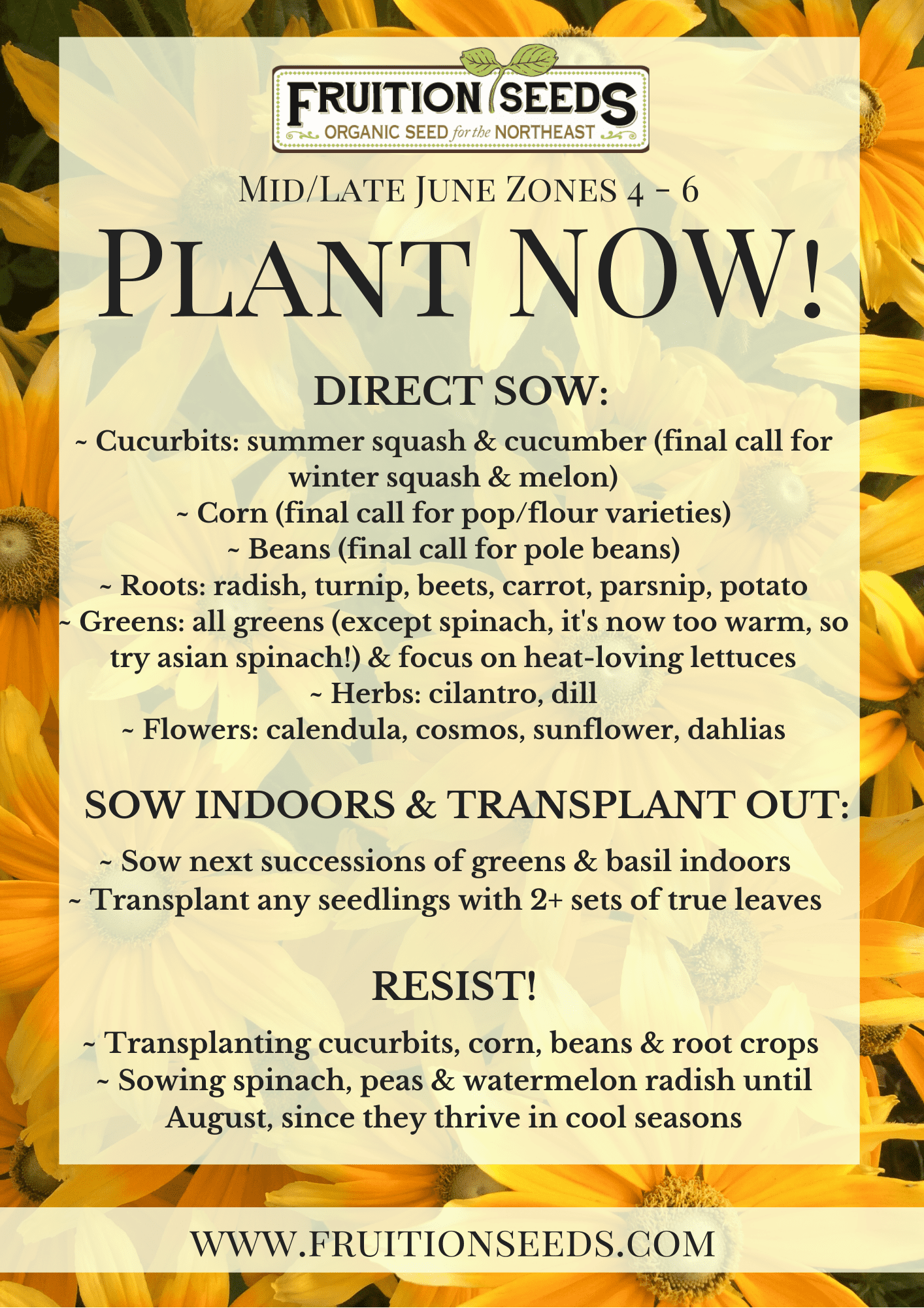 Growing Guide for June Plant Now