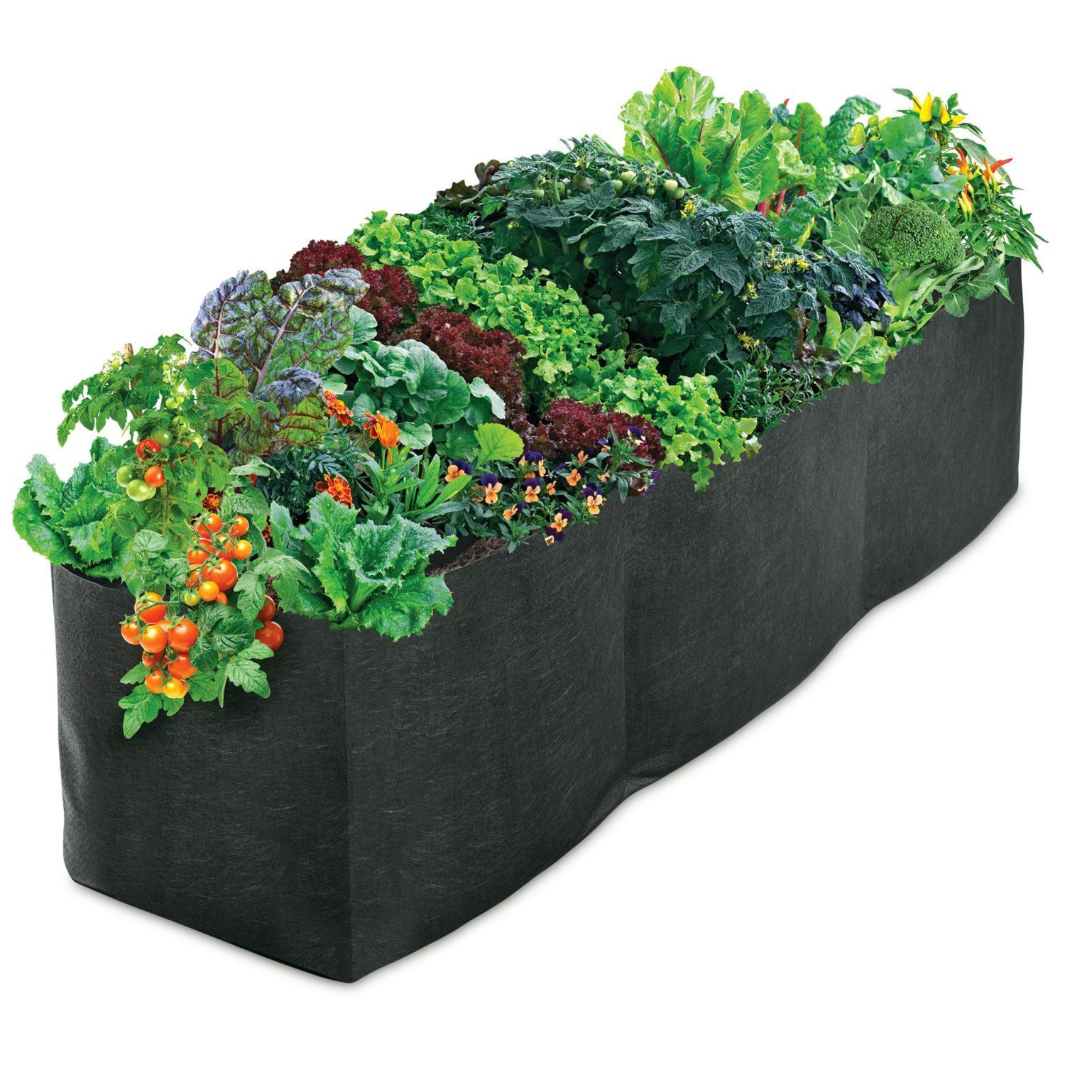 DAMEING Fabric Raised Garden Bed Rectangle Planter Grow Bags Smart Bed Plant Pot for Herb Flower Vegetable Plants 6 x 3ft 