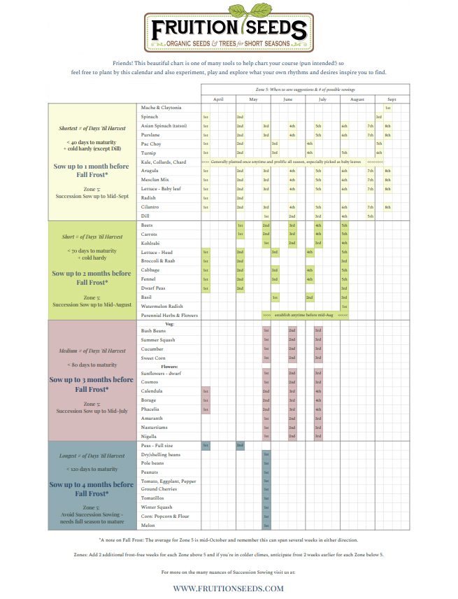 Succession Sowing Chart preview