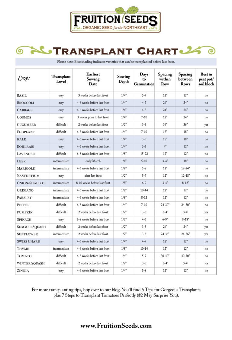 Garden Planning Charts & Infographics Fruition Seeds
