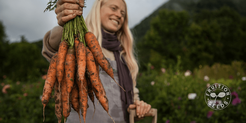 7 Seeds to Resist Transplanting 9