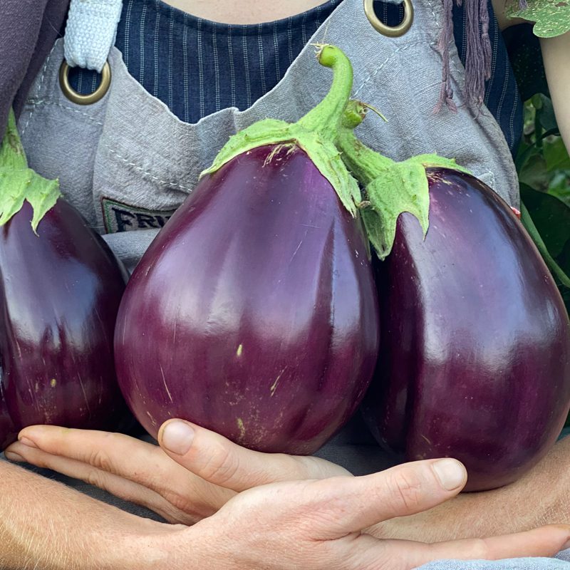 Our Seasonal Produce Guide: Here's When Every Fruit and Vegetable