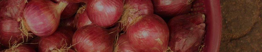 category header Organic Onion 1