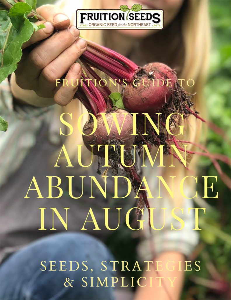 eBook Autumn Abundance cover