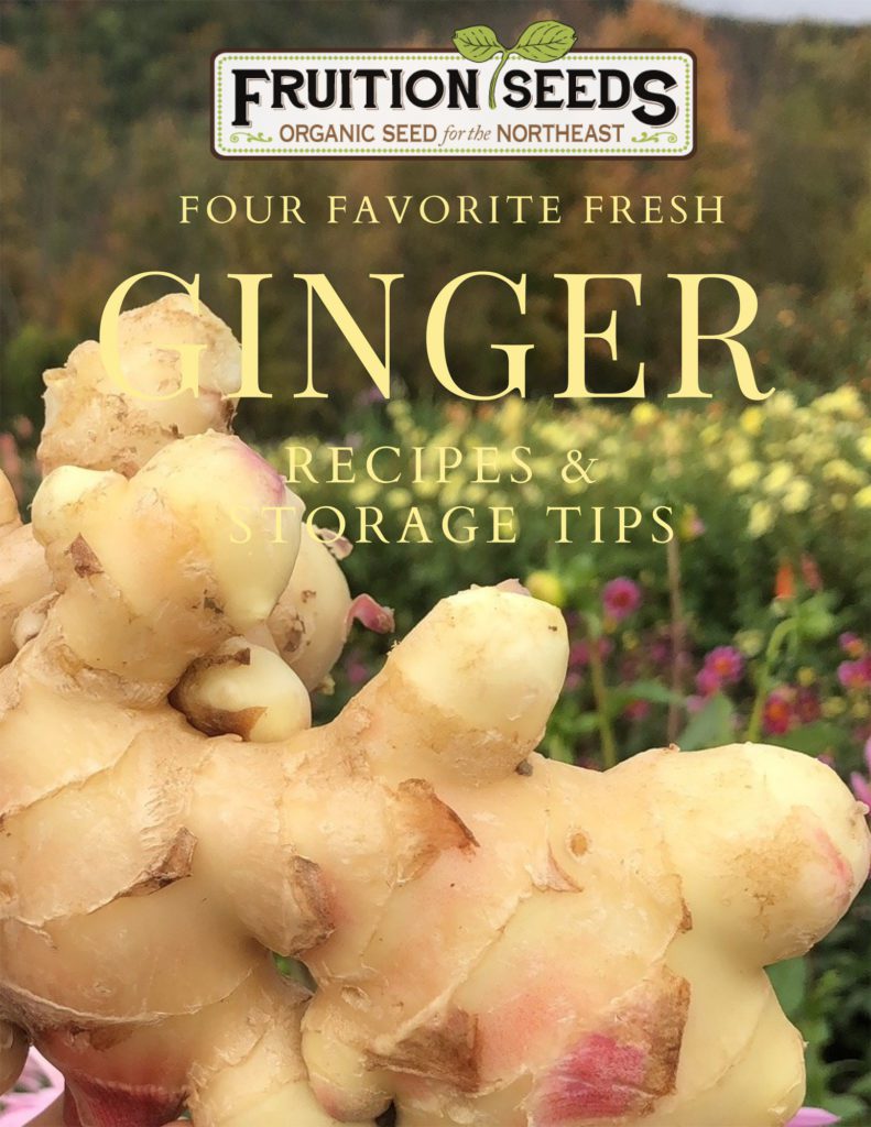 eBook Ginger cover