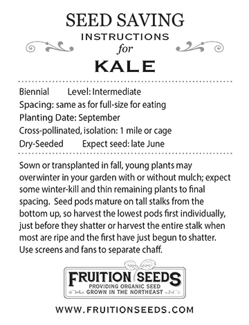 Thumbnail of Growing Guide for Kale Seed Saving Guide