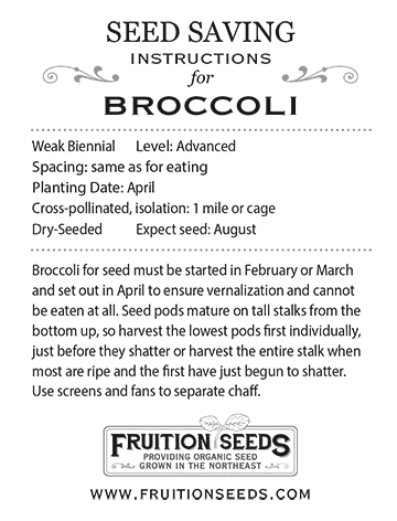 Thumbnail of Growing Guide for Broccoli Seedkeeping Guide