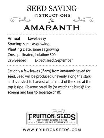 Thumbnail of Growing Guide for Amaranth Seedkeeping Guide
