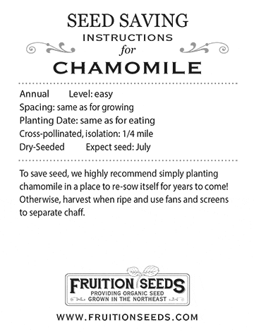 Growing Guide for Chamomile Seed Saving Guide