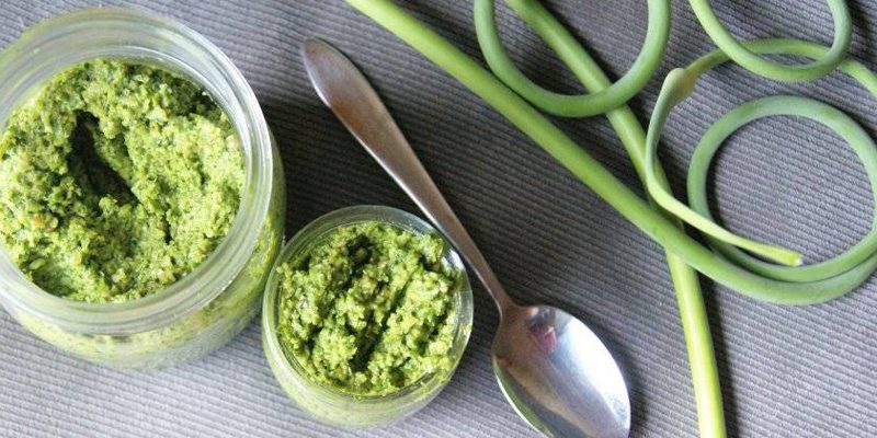 garlic scape pesto 800x400 1