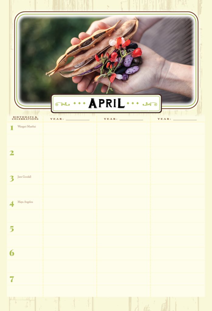 Fruition’s Guide to Garden Planning 12 k0x8xpzp