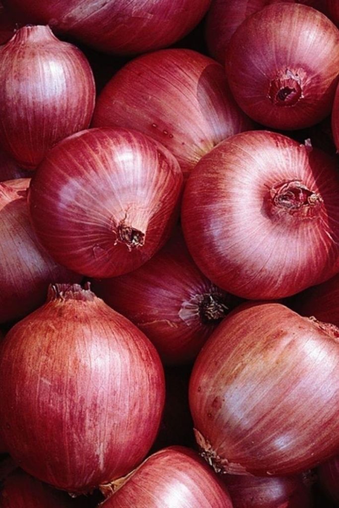 kIipltbZRbaOvegtUhfe 800 x 1200 onion 1