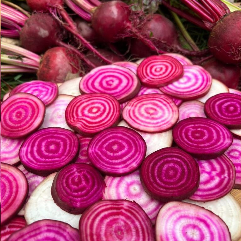 Beets Archives Fruition Seeds