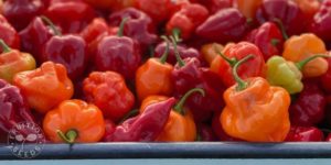 organic aha pepper 12