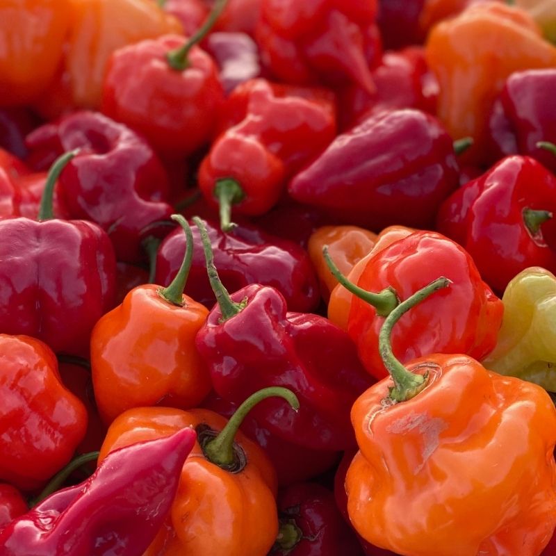 Hot Red Pepper Flakes – Pepper Creek Farms