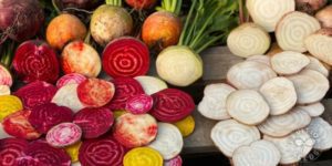 organic beet 5