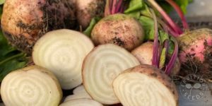 organic blushing beet 5