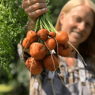 Organic Paris Market Carrot