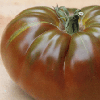 Organic Paul Robeson Tomato
