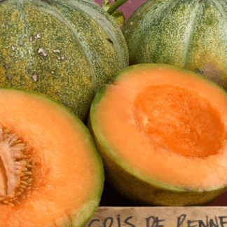 Organic Petit Gris de Rennes Cantaloupe